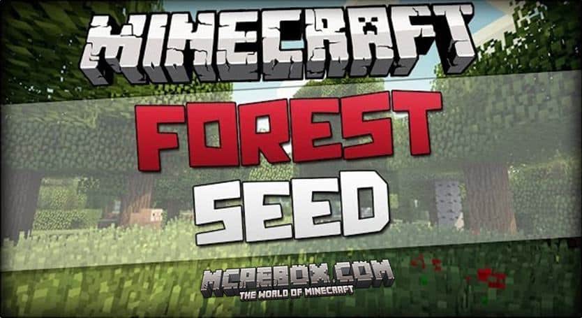 Minecraft Bedrock Edition Seeds Forest