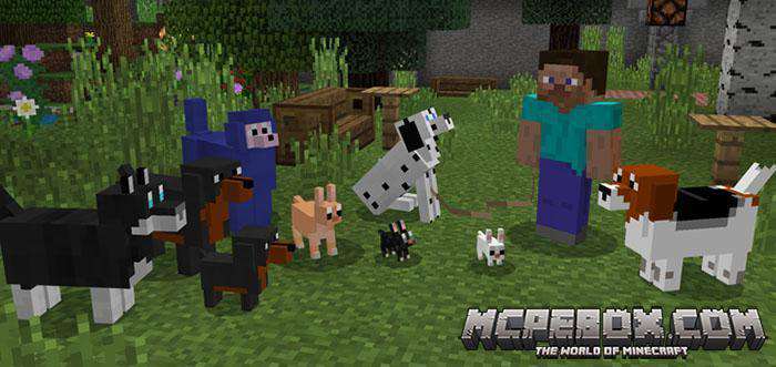 More Dogs Add-on for Mnecraft Bedrock Edition