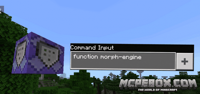 Visual Morph Beta (Function’s Pack) [1.11+]